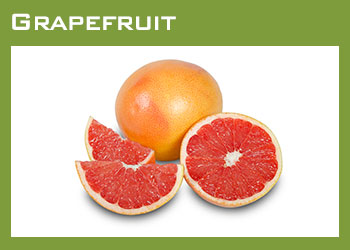 Citrus Growers South Africa Image