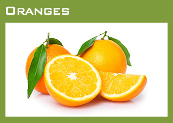 Citrus Producers South Africa Image